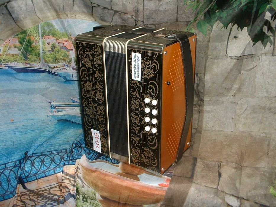 Promoção de Acordeões de concertinas Vendo uma coleção de 2000 instrumentos