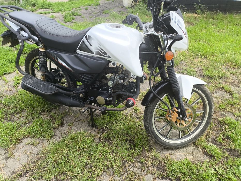 Alpha 125 lx champ