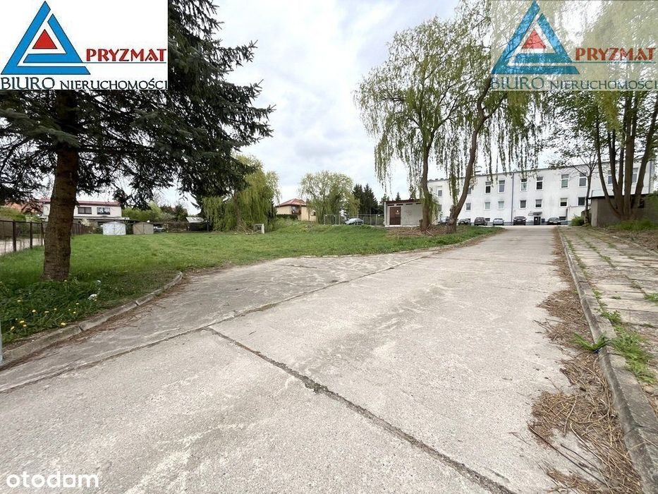 Zdjęcie 8