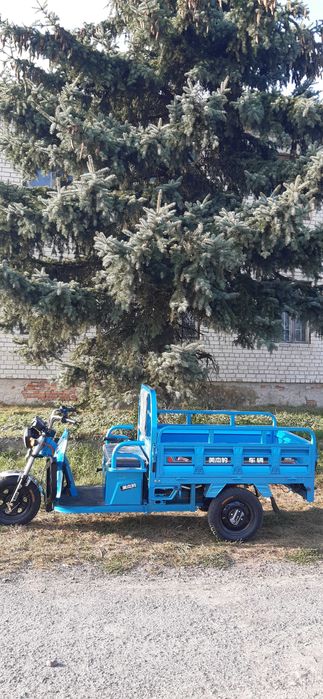 Електротрицикл вантажний Cargo Transporter 1200w