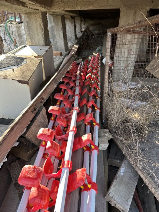 Нипельные поилки 3 метра