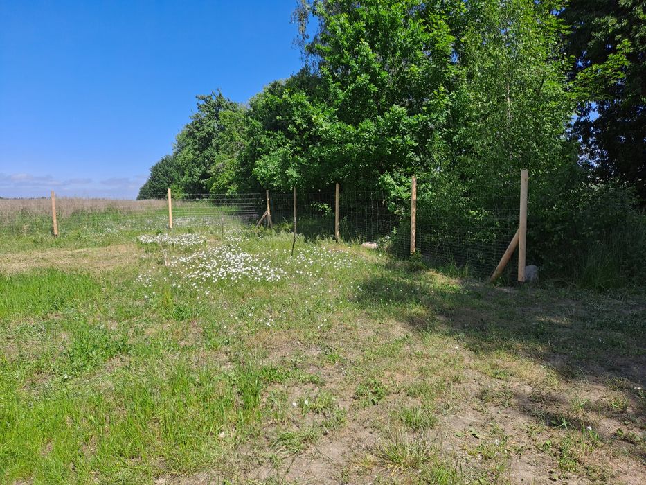 Ogrodzenie tymczasowe budowlane leśne