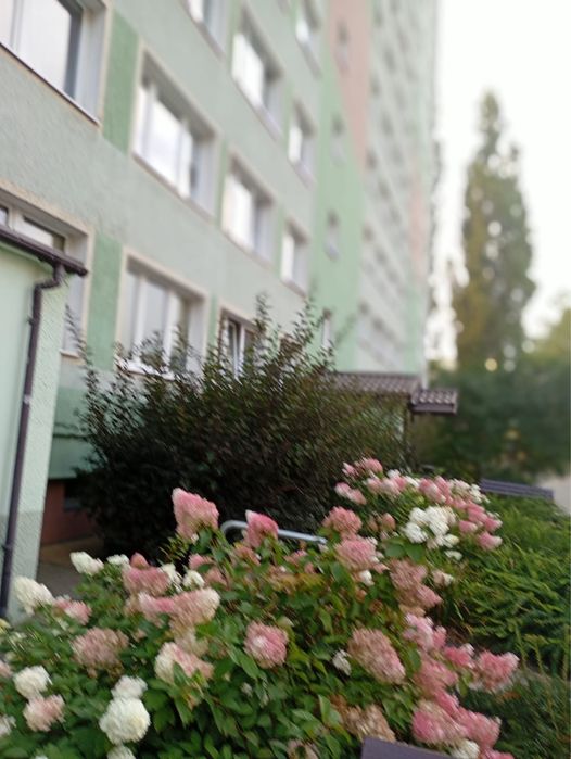 Mieszkanie Olsztyn 39 m2 ul. Pana Tadeusza 4