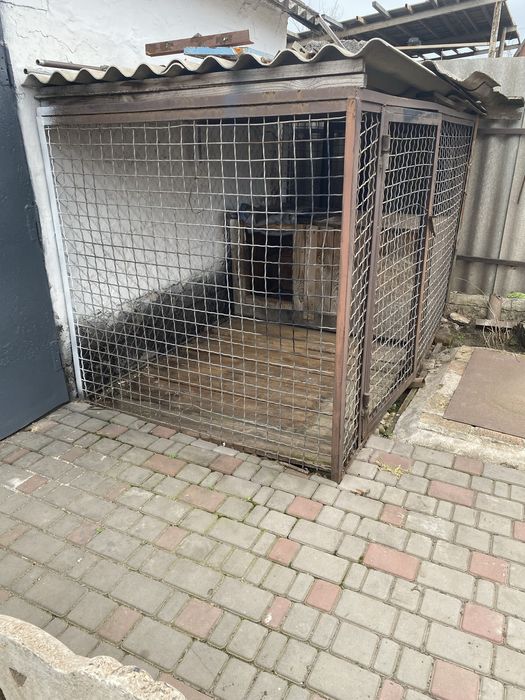 Вальер для собаки