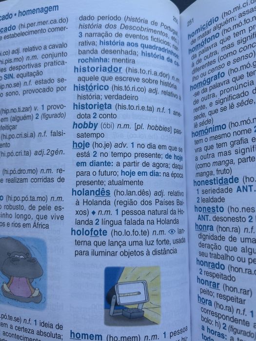 Dicionario Básico ilustrado da língua portuguesa