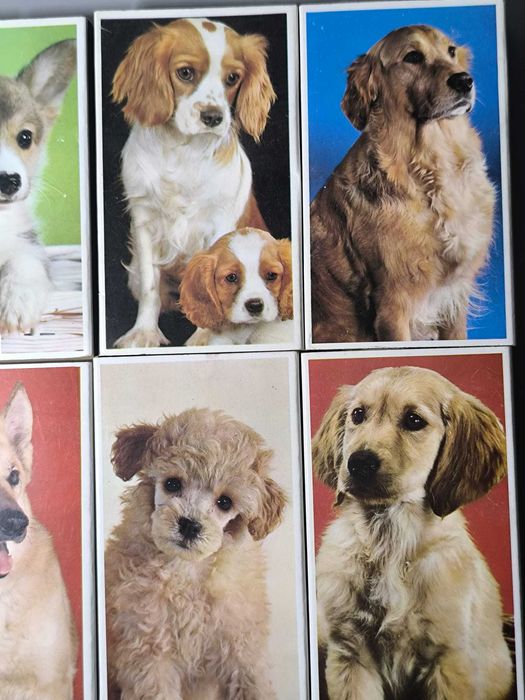 Coleção Completa Fósforos Tema Cães
