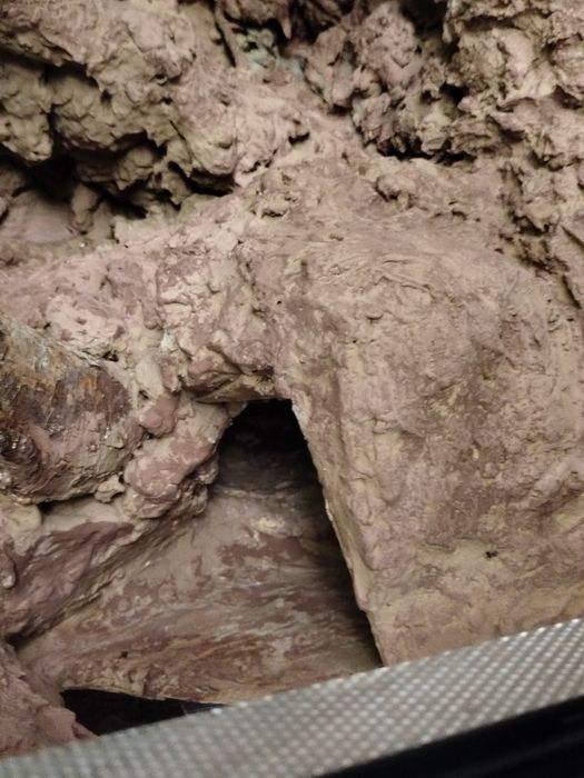 Terrarium dla gekonów