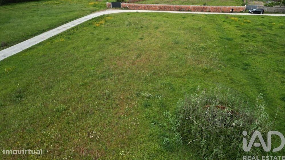 Terreno Agrícola em Vagos e Santo António