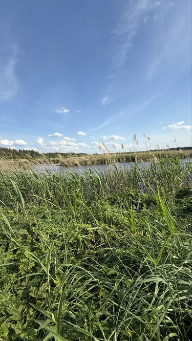 Ділянка 8 га, с. Романків, Підгірці, Київська область