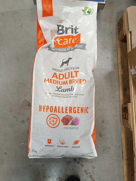 Sucha karma dla psów