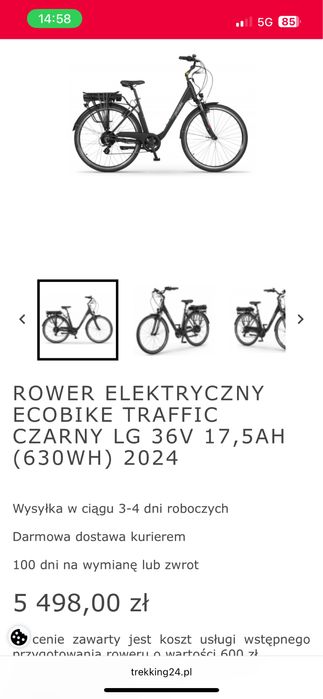 Rower elektryczny ecobike traffic