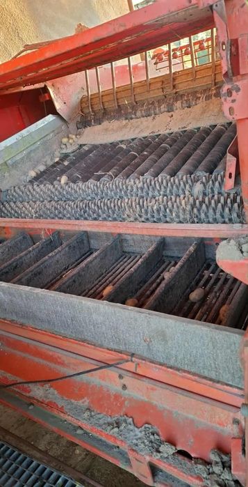 Kopaczka dwurzędowa  do marchwi ziemniaków cebuli