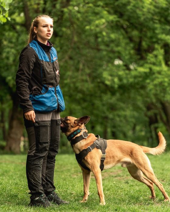 Кінолог онлайн, дрессерування