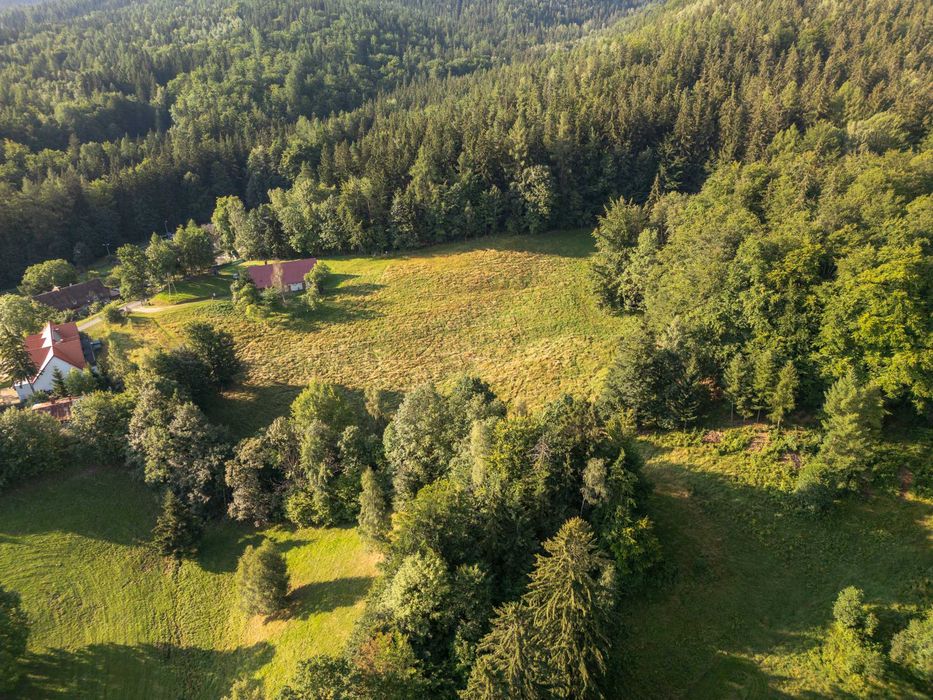 Unikatowa posiadłość 2,11 ha | Jagniątków | dom historyczny | Karkonosze