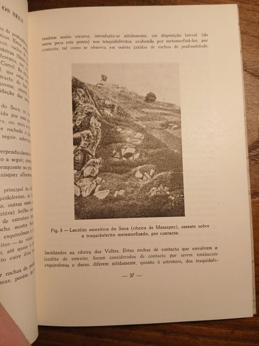 C. Gagel, Estudo sobre a Estrutura e as Rochas da Madeira