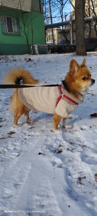 В самі добрі ручки, маленька солоденька булочка