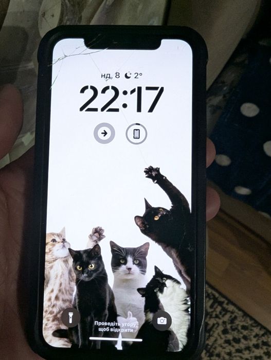 iPhone X неверлок