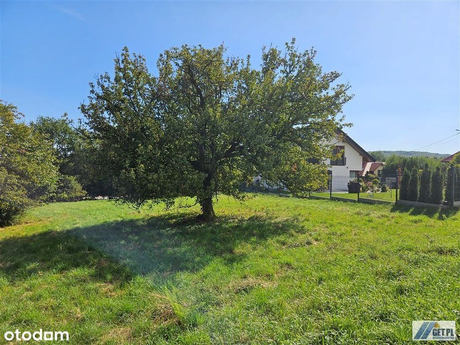 Działka, Tomaszkowice