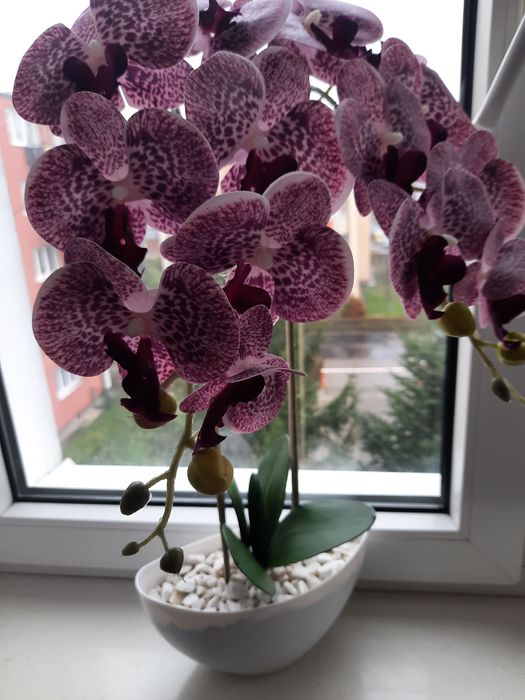 Storczyk sztuczny silikonowy dwupedowy