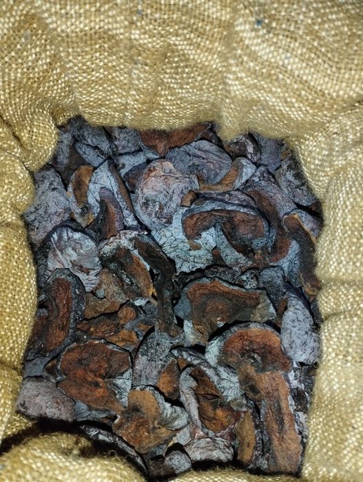 Сухофрукты яблоки груши 60 грн/кг