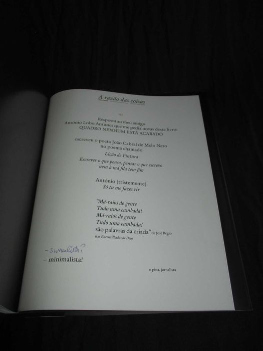 Livro A Razão das Coisas Júlio Pomar Gérard Castello-Lopes