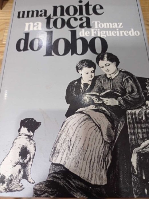 Selling book: One Night in the Wolf's Den