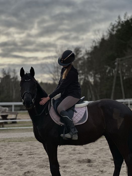 czaprak horze różowy