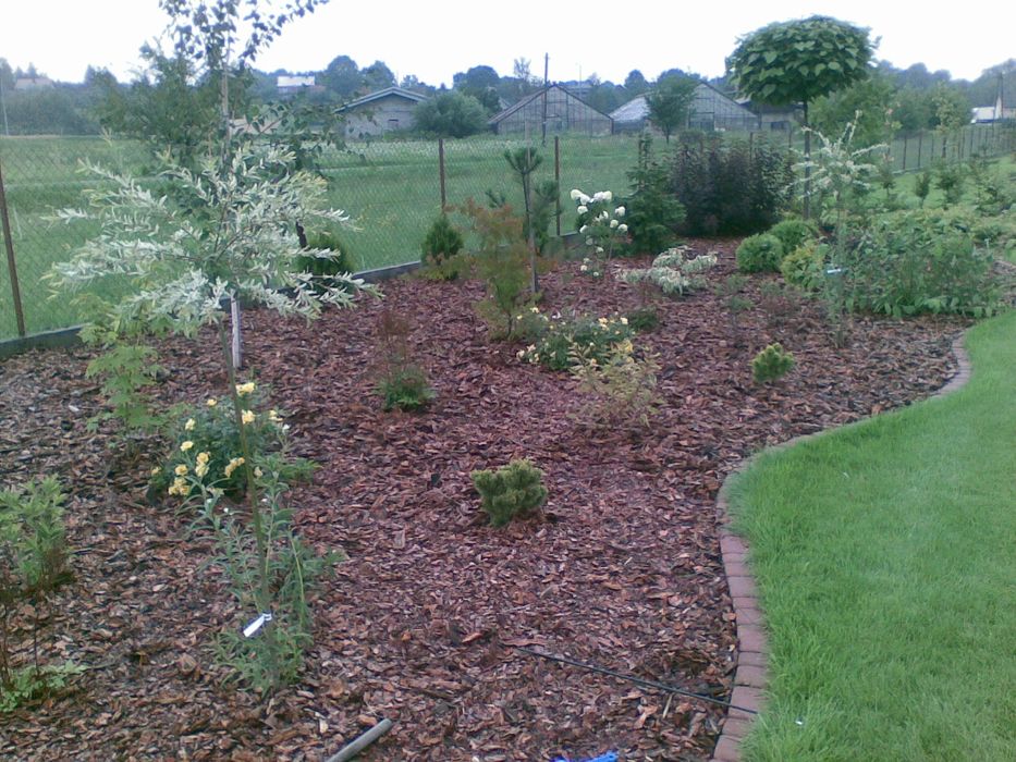 Kora ogrodowa ozdobna drobna i gruba