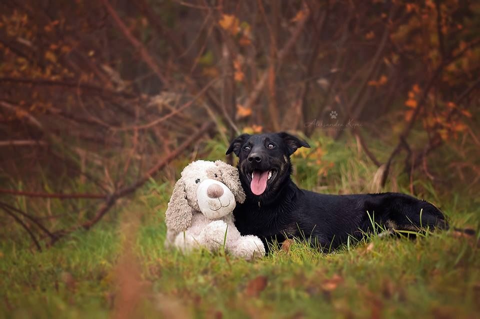 Wierna i mądra Ali 10 lat