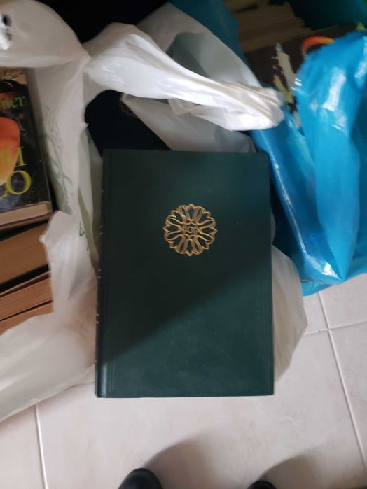 Livros - Romances, Policiais, Temáticos, BD e outros