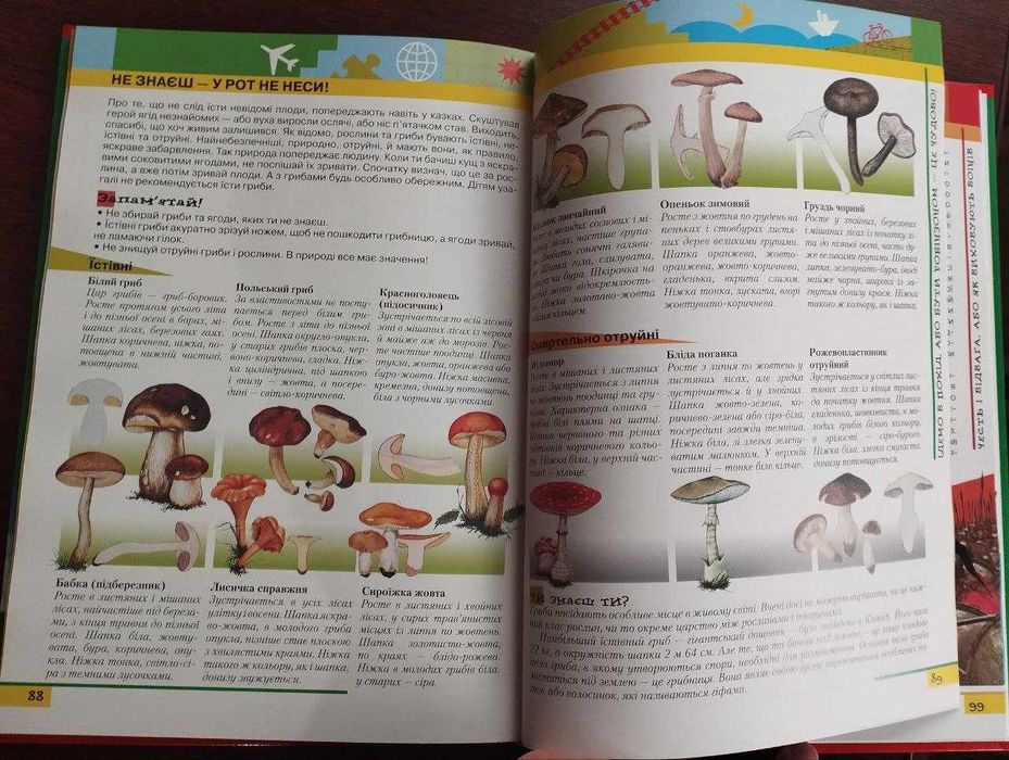 Енциклопедія для хлопчиків Знай та вмій! Цікавий світ