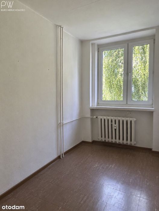 Zdjęcie 4