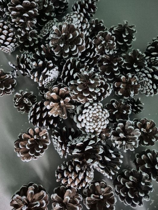 Шишки декоративні, новорічні