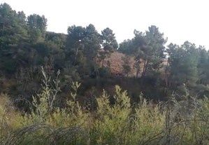 Terreno Douro troco por carro