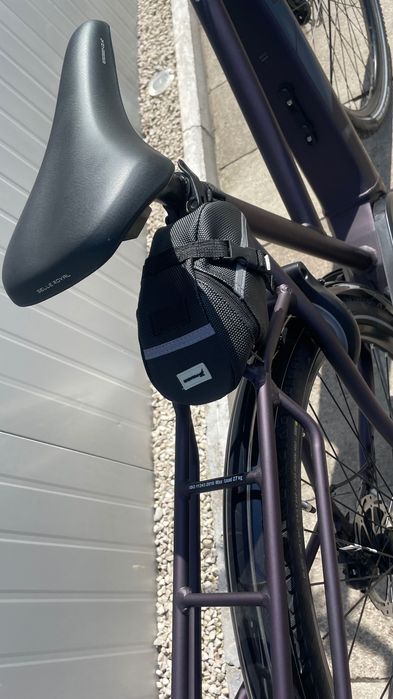 Rower elektryczny Pegasus