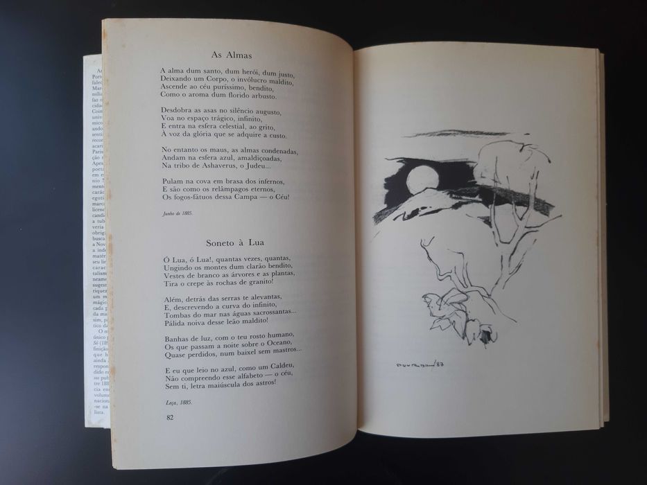 Poesia Completa - António Nobre