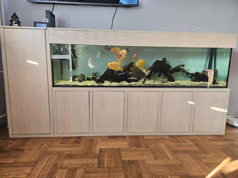 Akwarium 500L (200x50x50) + szafka - robiona na zamówienie + życie