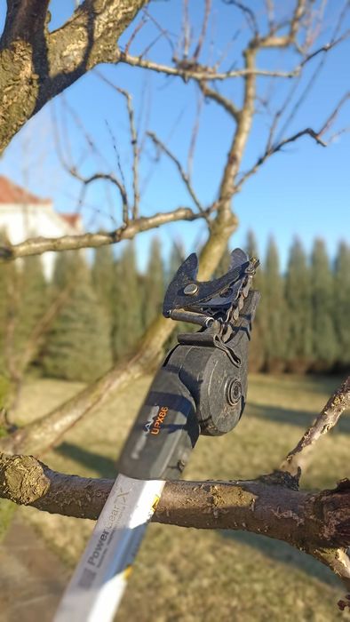 Обрізка плодових дерев саду, обрізка яблуні | Обрезка сада