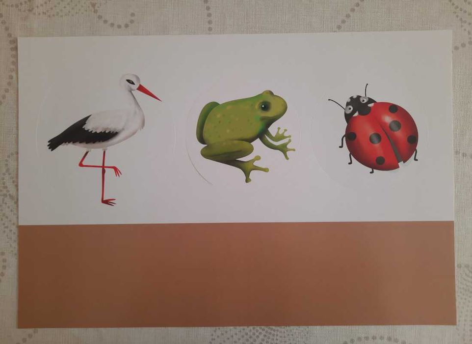 Pobawmy się razem - inscenizacje 4 latki - 12 plansz A3 w dużej teczce