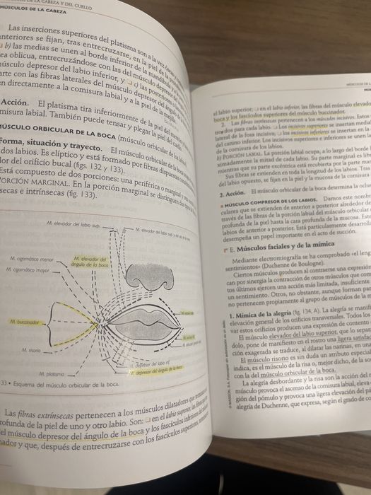 Livros Anatomia - Rouviere