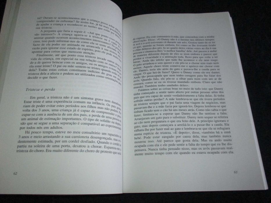 Livro Dar Atenção à Criança T. Berry Brazelton