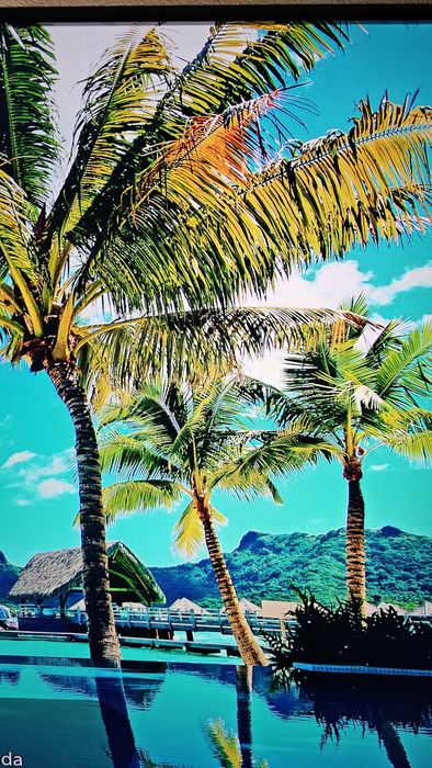 smart tv lg 49SK7900PLA Super uhd