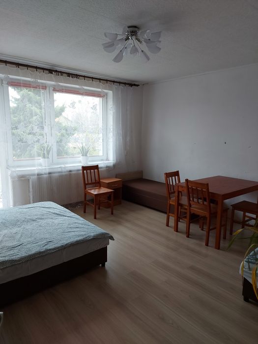 Pokój do wynajęcia