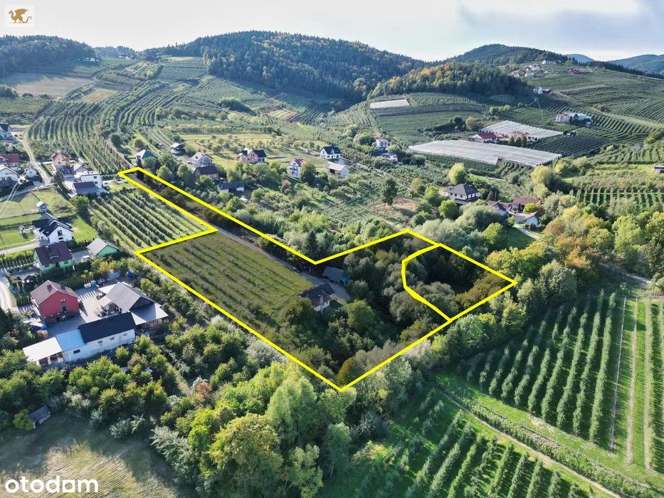 Duża działka z domem | Czarny Potok | 8700 m², sad i potok - Widok 5
