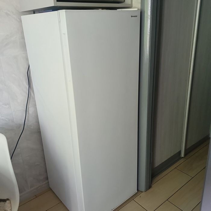 Морозильна камера Sharp SJ-S1182E2W-UA