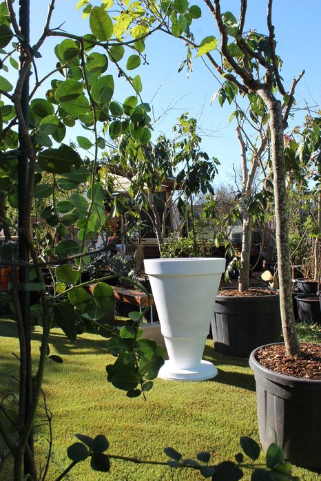 Plant pots / Vaso