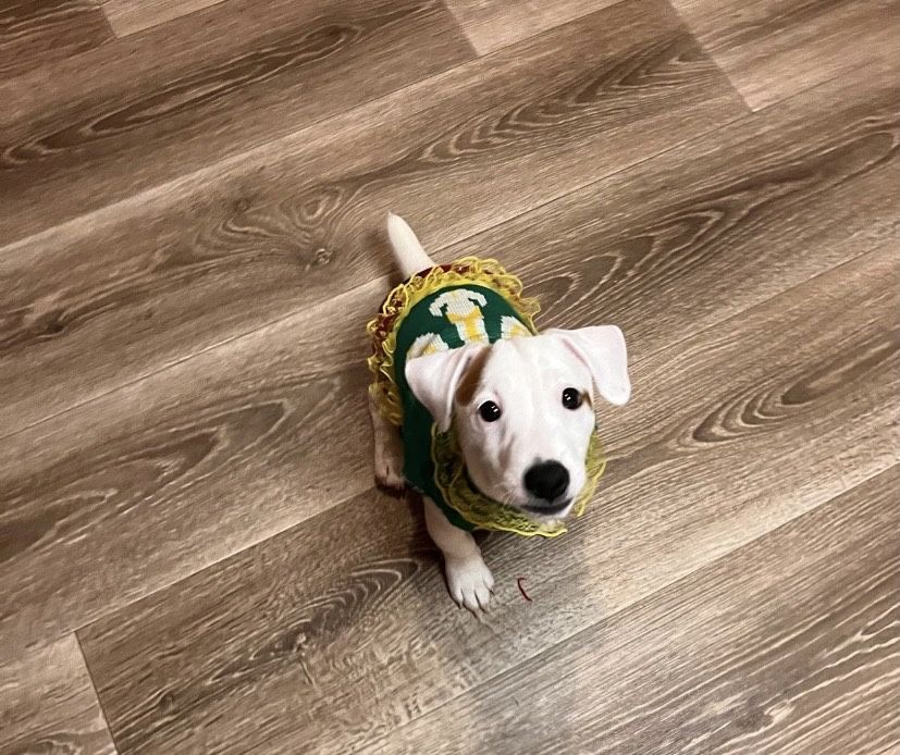 Коасивая малышка ищет маму