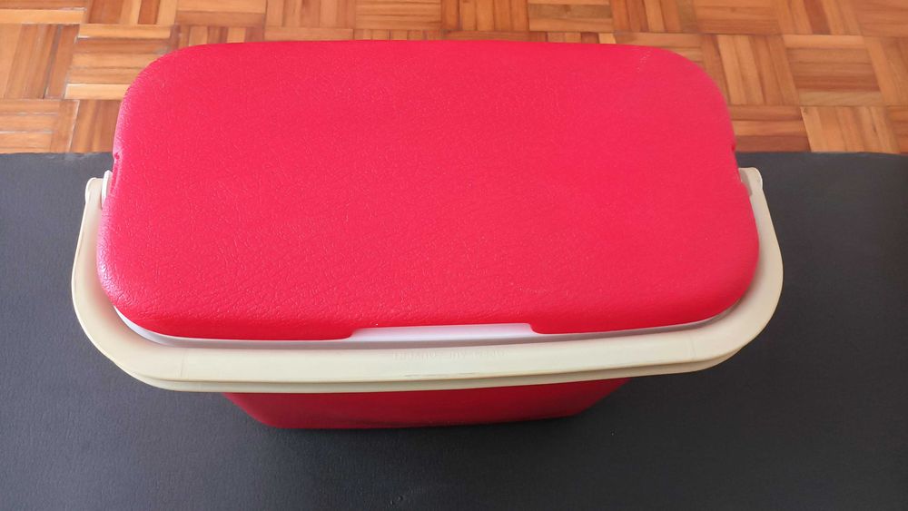 Geleira Térmica Portátil Rotho Cooler 24L (Fabrico Alemão) - Excelente Estado