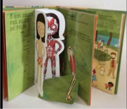 Livros infatins - A padeira de aljubarrota, O corpo Humano,etc..
