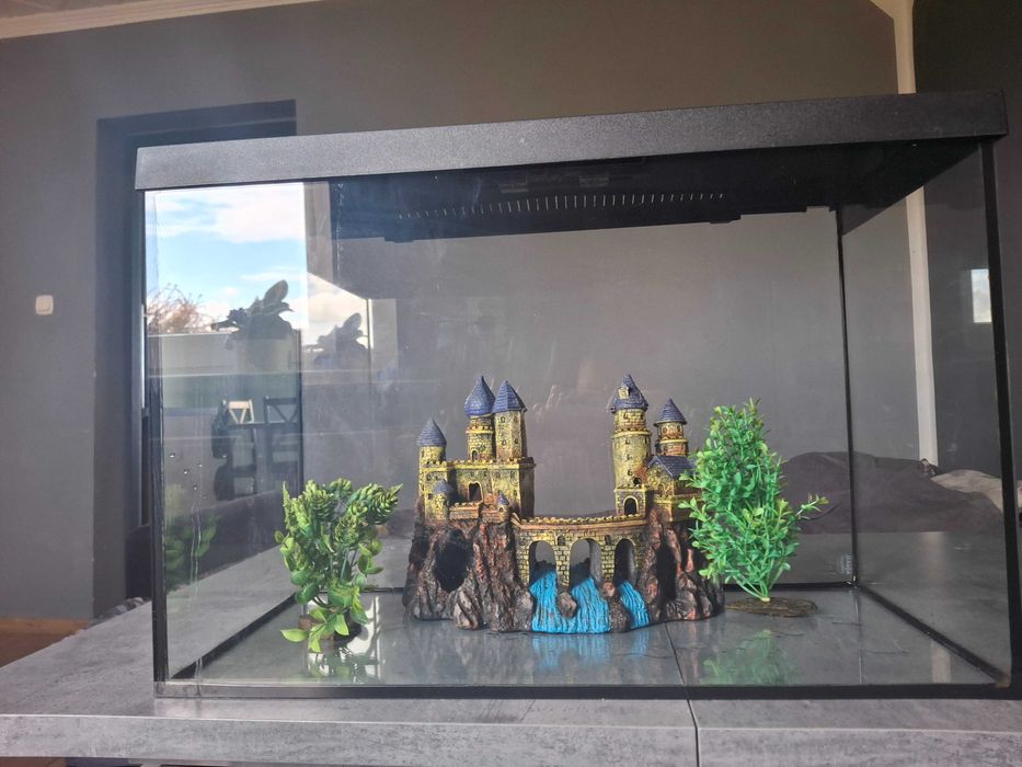 Akwarium z wyposażeniem